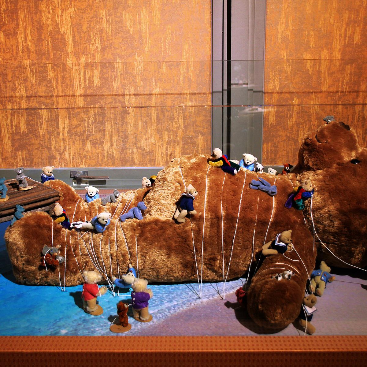 2018年11月貓頭鷹及泰迪熊行程