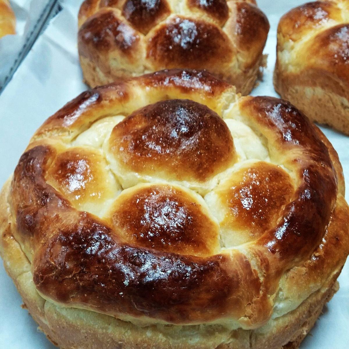 20190602 162355 1248x1664