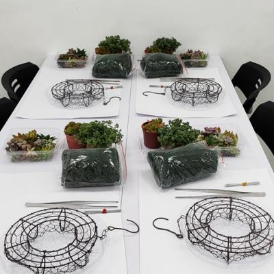 多肉植物花圈