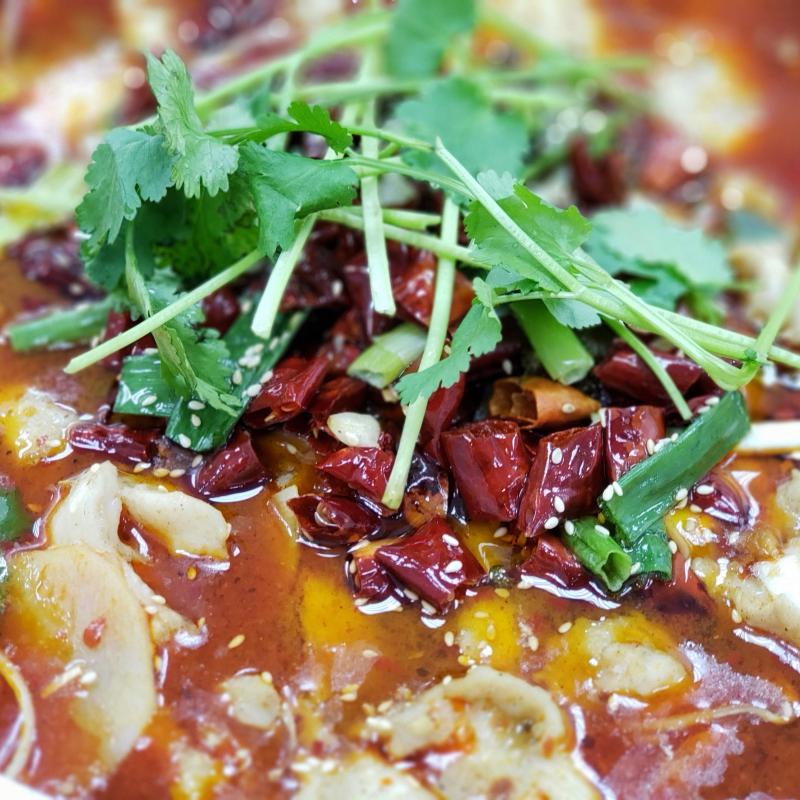 正宗川菜：麻辣水煮魚