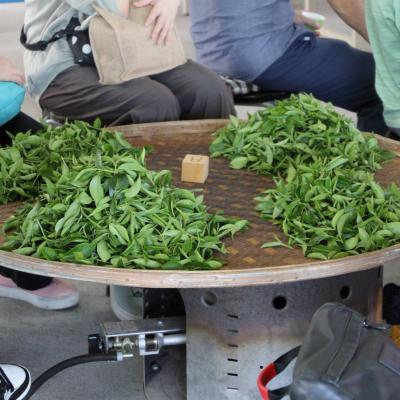 2024年7月宜蘭採茶去