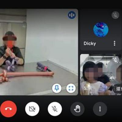 Screenshot 20211016 134829 Meet 