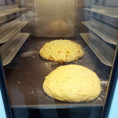 桃園市企劃從業人員職業工會