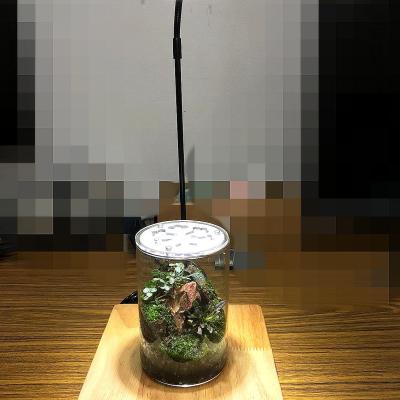 微景觀療癒生態瓶桃園市企劃從業人員職業工會