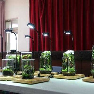 微景觀療癒生態瓶-桃園市企劃從業人員職業工會