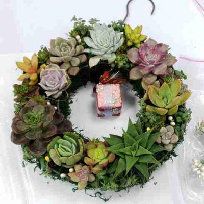 多肉花圈-桃園市企劃從業人員職業工會