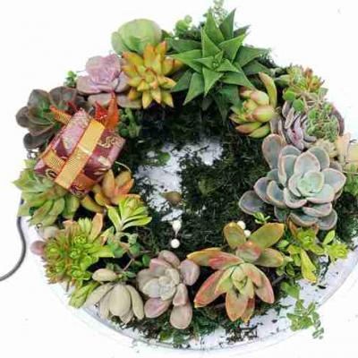 2021年12月多肉花圈