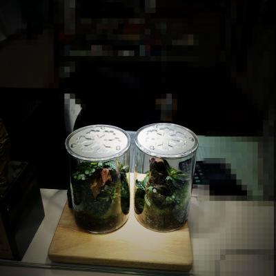 微景觀療癒生態瓶桃園市企劃從業人員職業工會