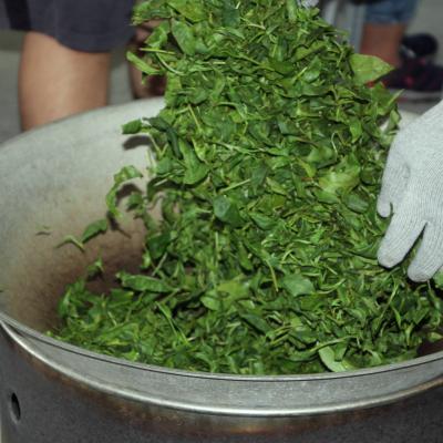 2024年7月宜蘭採茶去